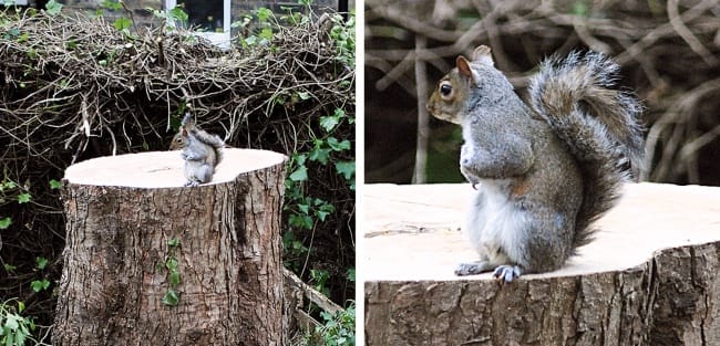 15 Meaningful Photos That Will Really Move You