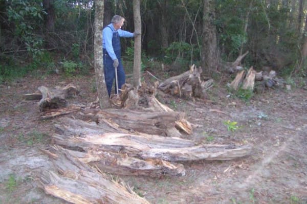 Even After His Wife Died, He Sells Wood Everyday To Pay Her Medical Bills!