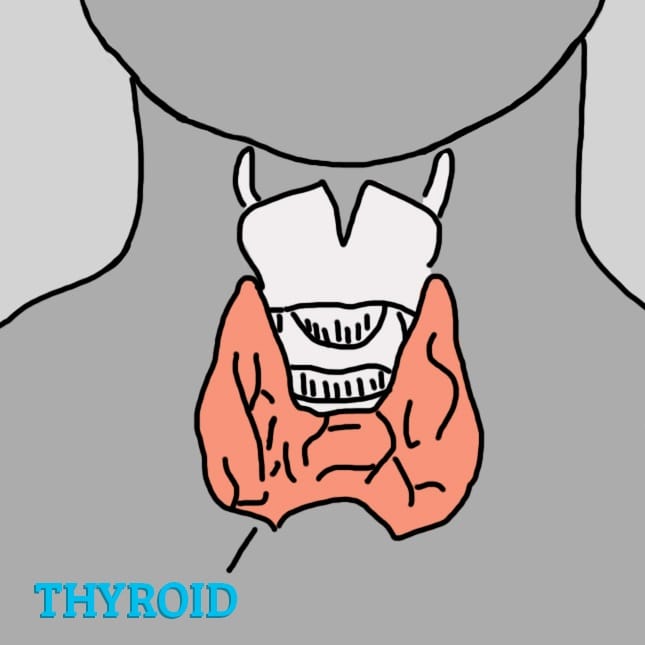 10 Million Women Ignore THESE Symptoms Of Thyroid Disorder. Do YOU Know The Signs?