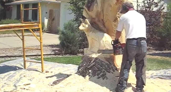 He Chainsaws A Dead Tree. When He Steps Back And Looks Up? My Jaw Dropped!