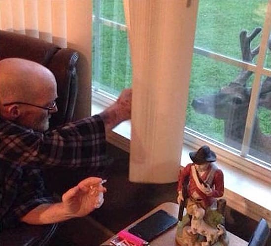 Her Sick,Old Dad Is Ready To Say Goodbye, Now Watch What A Deer Does...