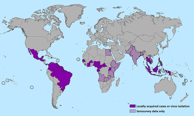 The Zika Outbreak Was Just Declared A Global Emergency -- Here's What You Should Know