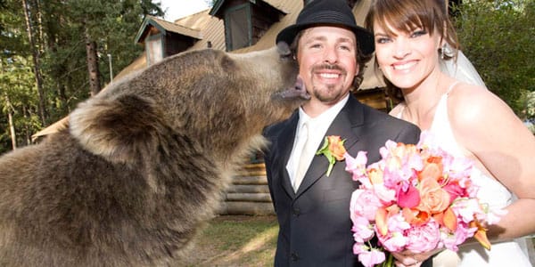 Man Saves Abandoned Grizzly Bear Cub. Six Years Later This Is How He's Thanked