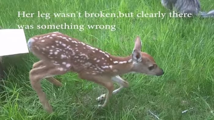 Mom Goes To Abandon Her Baby, Now Watch What The Cameraman Does.UNBELIEVABLE!