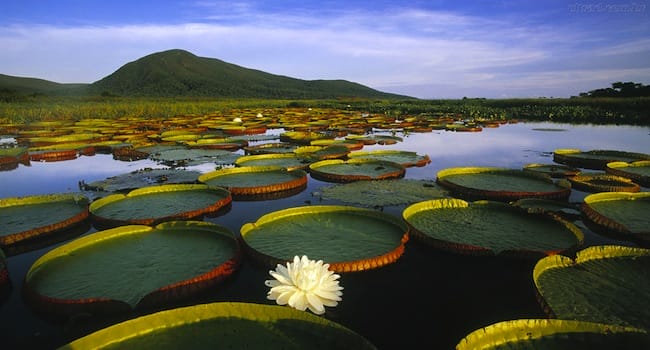 Ten Incredible And Mysterious Places Around The World Untouched By Mankind.