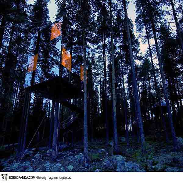 To Live Peacefully Away From The Busy World With Tree Houses