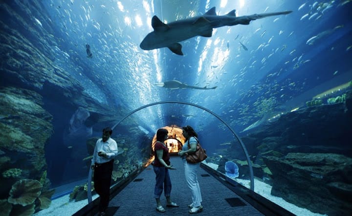 Top Wonders Of Dubai