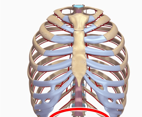 Parts Of Human Body Which Will Disappear In The Future