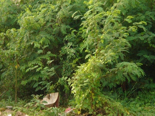 Can You Spot The Sniper Hidden In These Pictures Aiming A Gun Right At You?