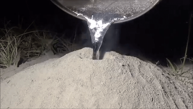 Man Pours Molten Aluminium Into A Fire Ant Colony. Result Is Absolutely Incredible
