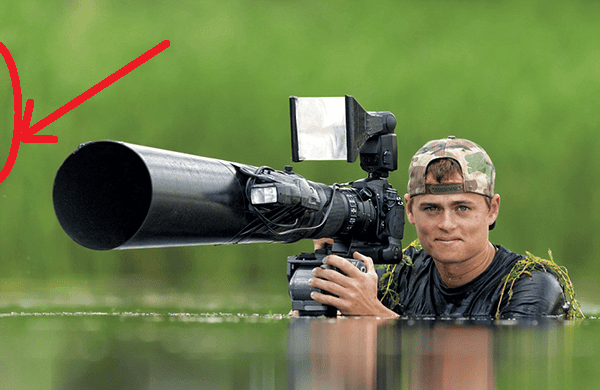 Photographer Finally Takes Perfect Shot After 6 Years and 720,000 Attempts