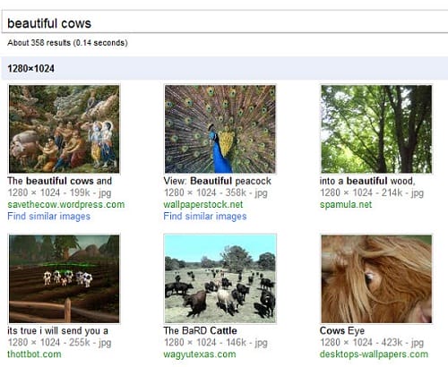 Ten Things You Did Not Know You Could Do With Google
