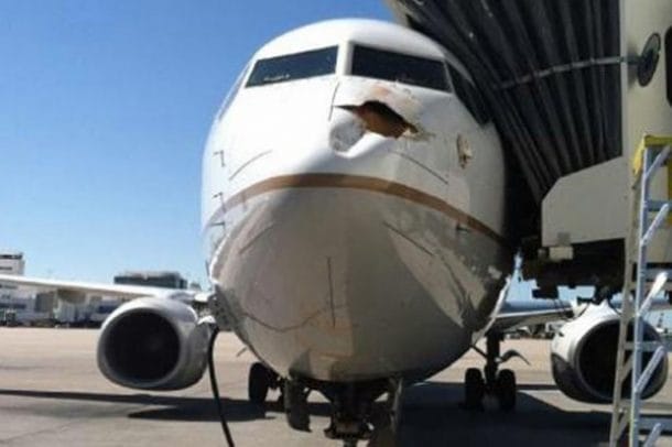 You Won't Believe What Happened After A Bird Collided With Airplane