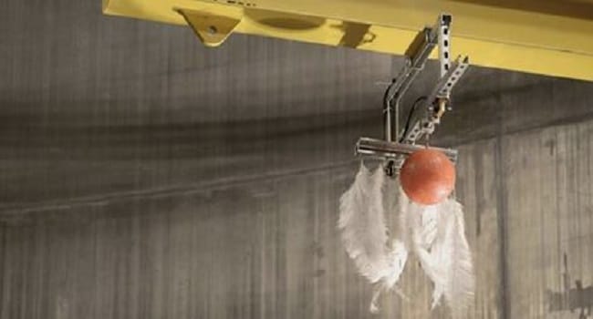 Watch What Happens When You Drop A Bowling Ball And Feather At The Same Time In A Vaccum