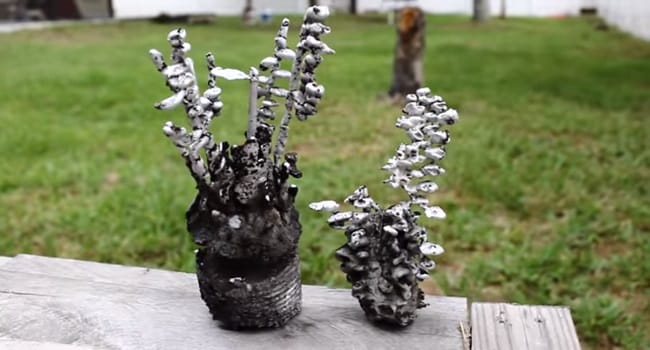 When You Pour Molten Aluminum In a Watermelon...Awesome Surprise!