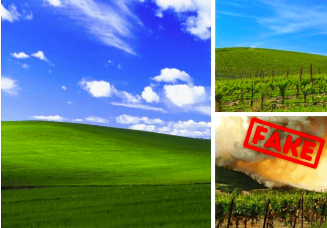 10 False Stories And Photos That Millions Of People Believed