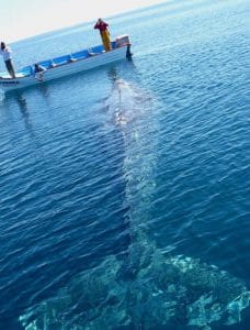 10 Snaps That Certify You Might Possibly Have Thalassophobia