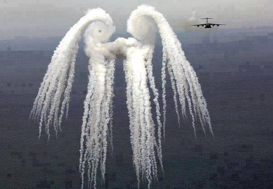 10 Unique Pictures You Might Not Have Seen Before!
