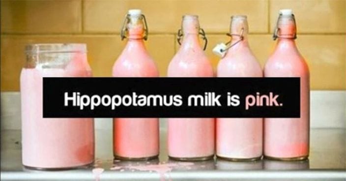 10 Whacky Facts You Should Know