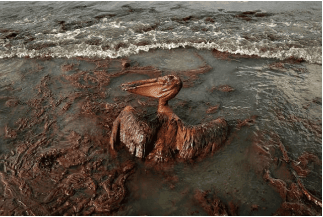 10 Worst Man Made Environmental Disasters