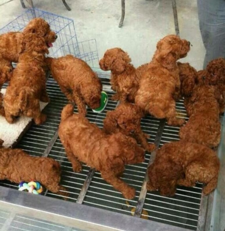 12 Misleading Photos That Will Make You Look At It Again!