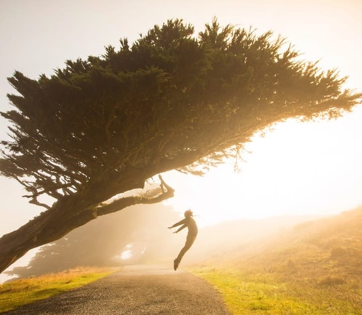 12 People Who Will Do Anything And Everything for one Perfect Shot