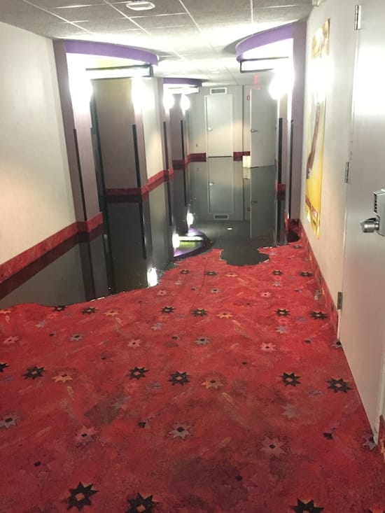 13 Bizarre Photos That Will Make You Say Wtf