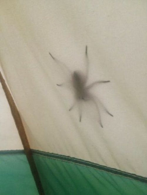 13 Creepy Pictures You'll Ever See And Never Unsee