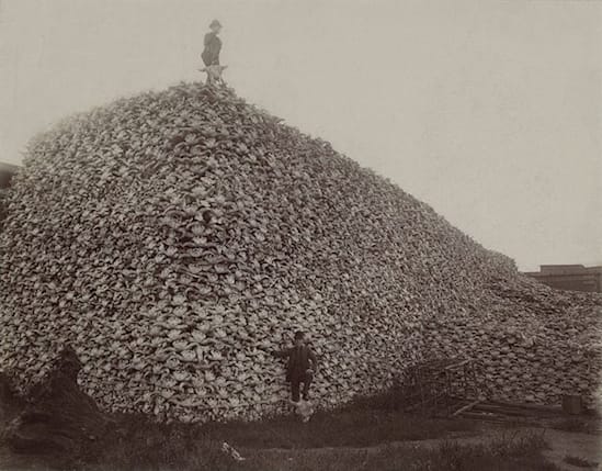 13 Extremely Creepy Photos You Can't Un-see.