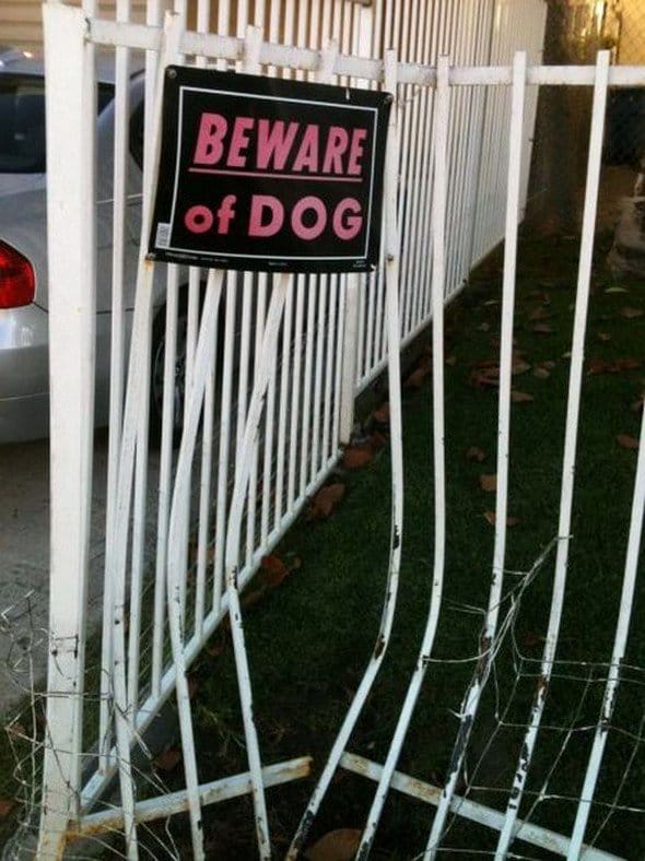 13 Photographs That Are Impossible To Explain