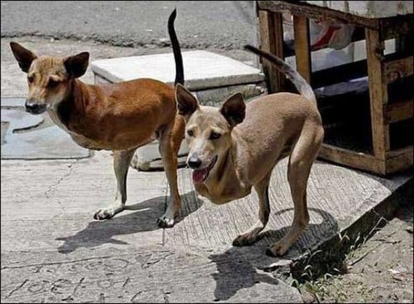 13 Photos That Beat Photoshop Hands Down!