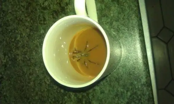 13 Pics That Will Make You Realize How Weird Our World Can Get.......