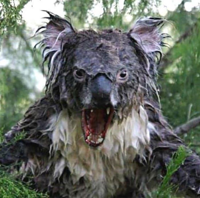 13 Pictures That Will Literally Freak You Out
