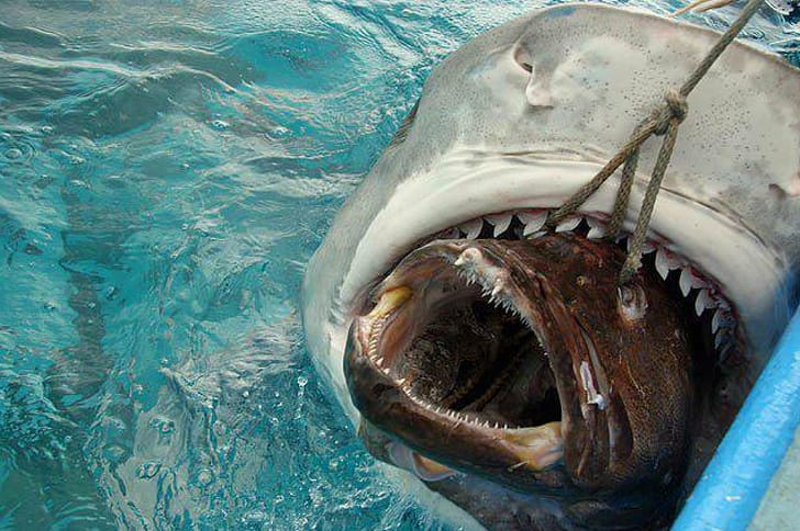 14 Great Photos That Seem Unreal But Are Actually Real
