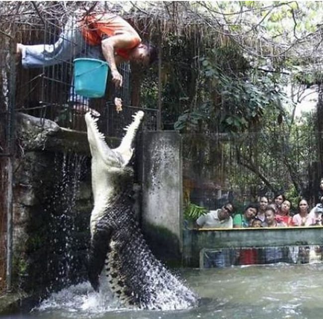 14 Jobs That Are Without A Doubt Tougher Than Yours