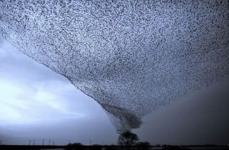 14 Times Nature Made Us Say 'NO'!!!(WARNING: This List Is Not For Weak People)