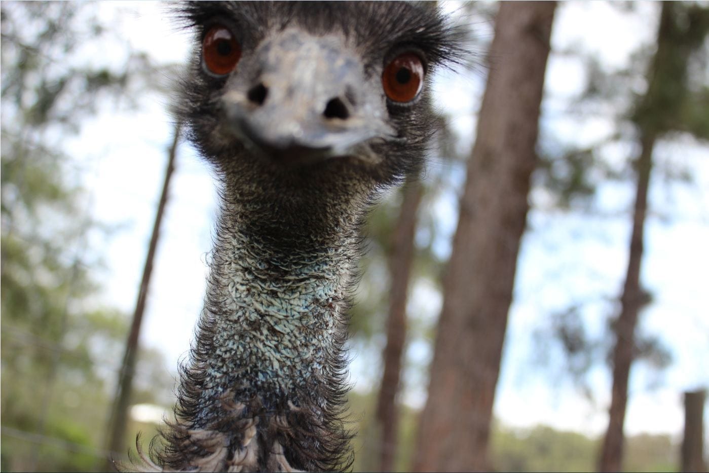 16 People Who Found Mysterious Photos On Their Camera