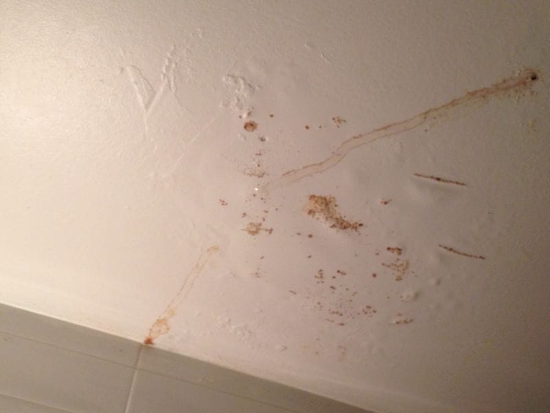 17 Parents Reveal The Weirdest Things They've Ever Found In Their Kid's Room.