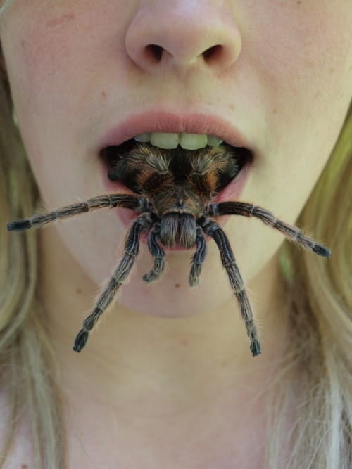 17 Photos That Will Make You Feel Abnormally Uncomfortable.