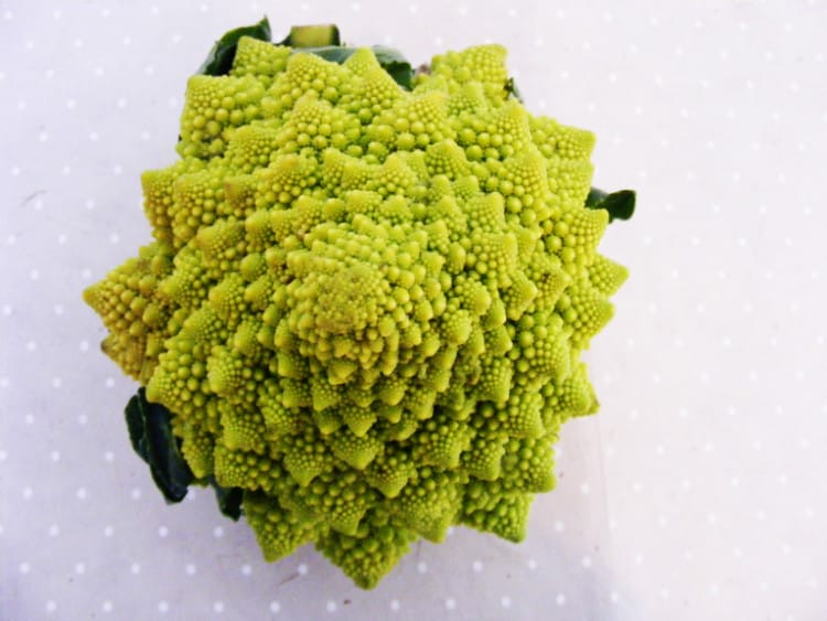17 Things That Looks Absolutely Bizarre Under A Microscope