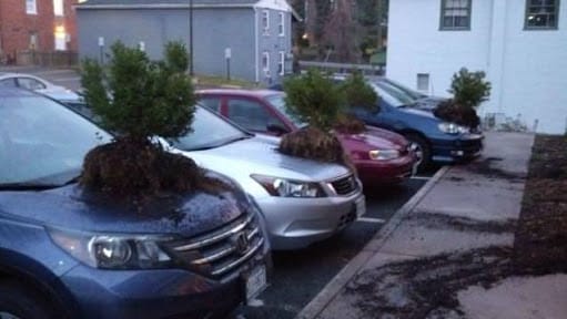 17 Times WTF Was Taken To The Next Level.