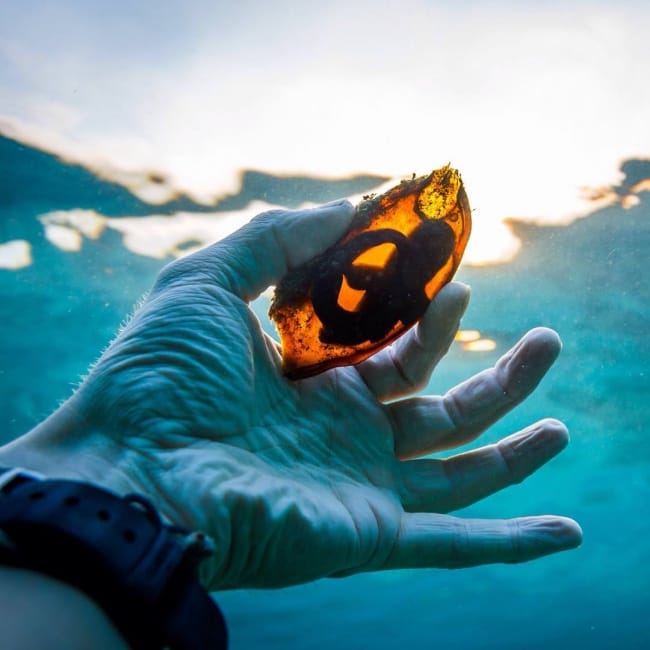 20 Photos Of Real Things That Are Very Hard To Imagine