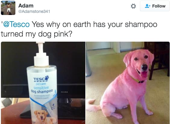 22 People Who Have Every Right To Be Very, Very Angry!