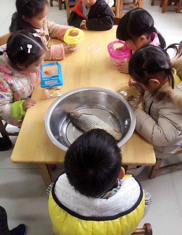 9 Children Who Took Instructions Way Too Seriously!