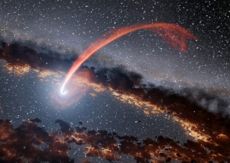 A Black Hole, A Star And This Destruction!