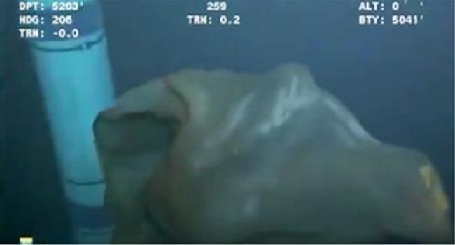 A Camera Caught This Terrifying Creature In The Deep Ocean. Now I'm Never Sleeping Again!