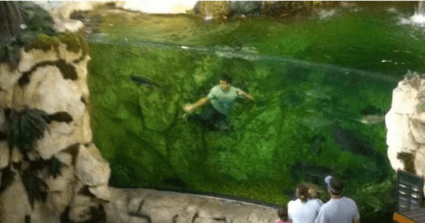 A Kid Jumped Into A Bass Pro Shops Fish Tank, And It Ended Very Badly