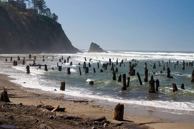 A Storm Washed Away 100s Of Years Of Sand To Reveal Something Haunting On This Beach