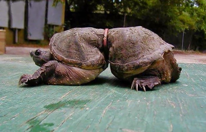 After You See These Disturbing Photos You Will Want To Recycle Everything!