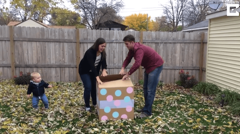Balloon Company Spoils The Gender Reveal Party, THIS Is What The Couple Did Next..